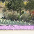 전원향기 이미지