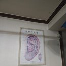 지압안마원 | 신당동마사지 찾다가 방문한 전통지압안마원 후기