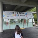 <강북 그림책 아트플레이>展 | [체험] 북서울꿈의 숲 상상 톡톡 미술관 에르베 튈레전 색색깔깔 뮤지엄 관람 후기