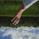 미스터홍 이미지