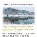 미가면 이미지