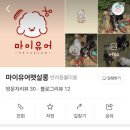 유어펫 살롱 이미지