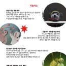 가족무용극 고블린파티 네이버블로그