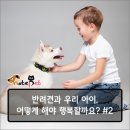 두한성형외과의원 이미지