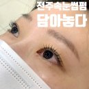 전주 효자동속눈썹펌 담아놓다 에서 노글루 수분, 영양까지 한번에!