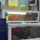 통영자매다찌 이미지