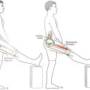 경희태림한의원 이미지