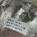 판다 프루츠