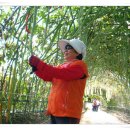 어느날, 하동 이미지