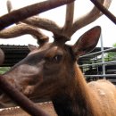 밀알농장 이미지