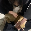 오리정주유소 네이버블로그
