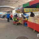 월야5일시장 이미지