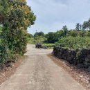 삼달1리마을회관 이미지