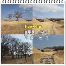 팔공산올레길 6코스 | 대구 겨울 불로동 고분군 완전정리