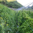 자연애농장 이미지