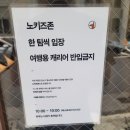 제주도 가면 무조건 사야하는 화석과자 센잇 방문 후기~!