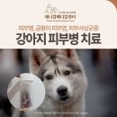 애니컴 메디컬센터 이미지