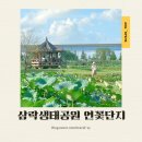 사상근린공원
생태주차장 이미지