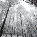 나원목장 이미지