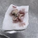 오제석치과의원 이미지