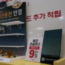 안경매니져삼천포홈플러스점 | [세종시안경] 가성비 좋은 세종안경 추천 '아이피아 세종홈플러스점'