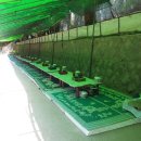 오동나무집 이미지