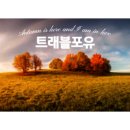 (주)포유트레블