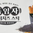 한마음앤티앤스