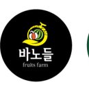 윤맘디자인 이미지