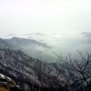 계룡산약국 이미지