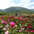 큰골작은도서관 이미지