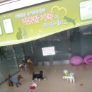 그제 있었던 과천 서울대공원 반려동물입양센터 견학기 이미지