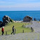 소망애견 이미지