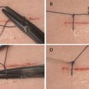 둔산싱싱튼튼의원 이미지