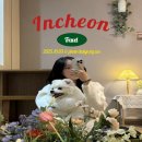 다온 펜션 | [인천 영종도] 오션뷰 숙소 에어비앤비 바다앞다온