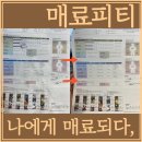 매료피티 이미지