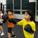 ATP Boxing 이미지