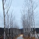 무주읍246 | [무주여행]태권도원, 최북미술관, 김환태전시관, 금강식당 어죽(전라도여행/무주맛집/무주 가볼만한곳)