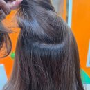 항공카클리닉 | 부산남구염색 대연동염색 모모수헤어 가을 염색