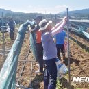 충주시시설관리공단노동조합 뉴시스