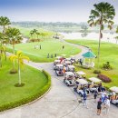 대국골프 이미지