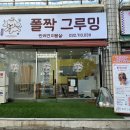 폴짝그루밍