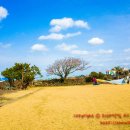 김녕초등학교동복분교장 이미지