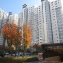 송악읍 반촌로 이미지