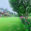 더플라워펜션 이미지