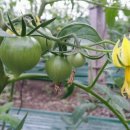 선희농장 이미지