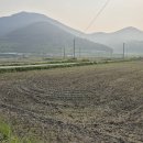 서촌마을회관 이미지