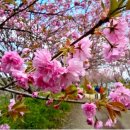 완산공원(아래) 이미지