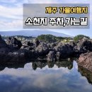 더베이리조트 | 가을 제주 서귀포 여행지 추천 올레6코스 소천지 가는길 주차