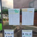 수영강자전거도로 동천교 부근 | 갈맷길 8-1구간 일부 8-2구간240706